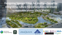 II Descipher_slides-for-JPI-policy-conference.pdf